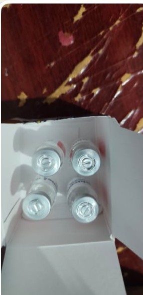 Pedido recebido